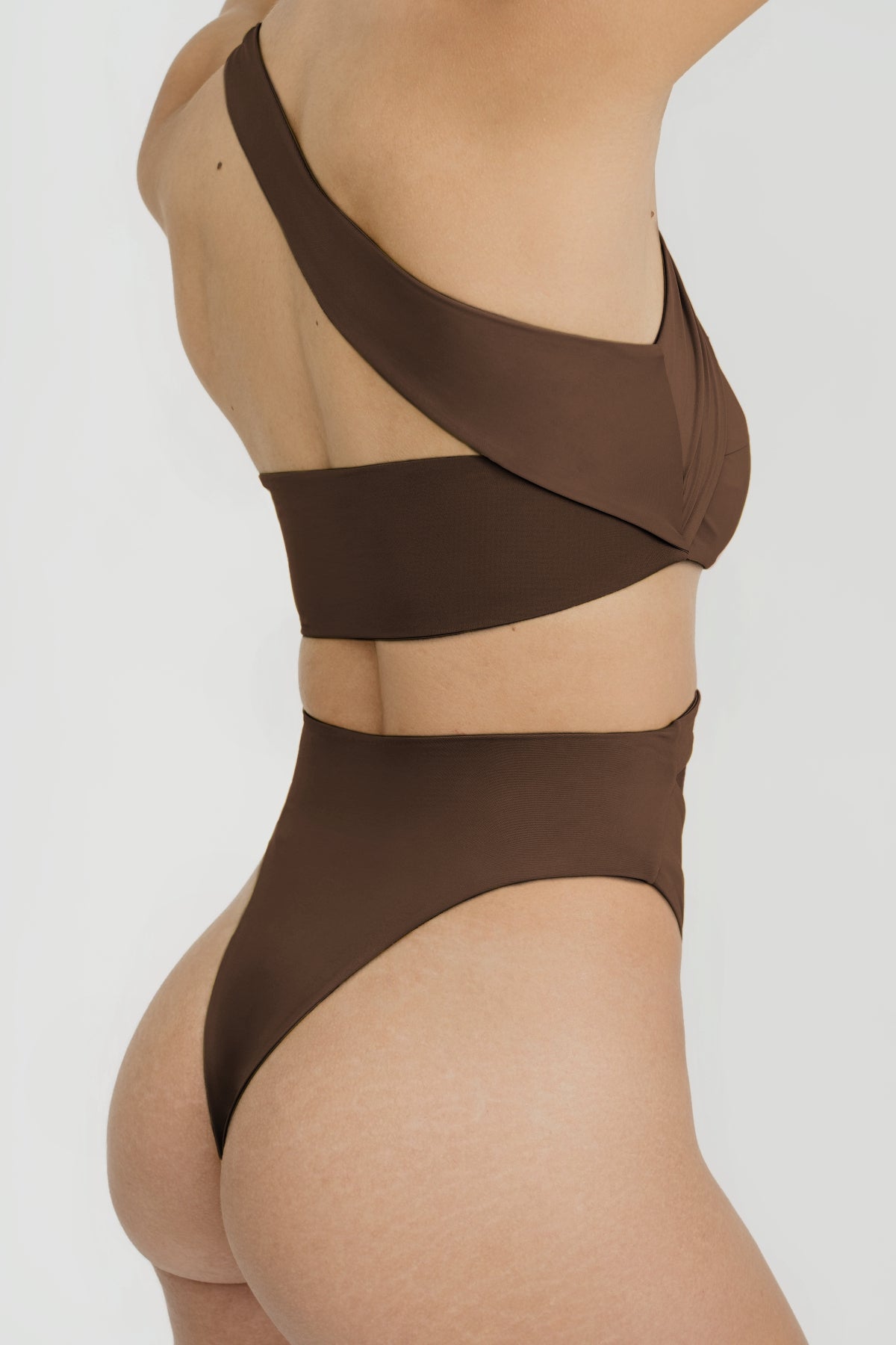 Brown One Piece Swimsuit